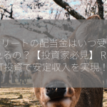 日本リートの配当金はいつ受け取れるの？【投資家必見】 REIT投資で安定収入を実現！